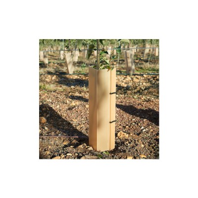 Προστατευτικό Φυτών Plant Protector 1 τμχ 