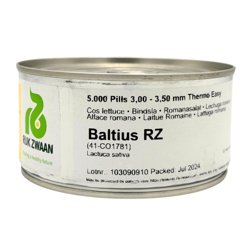 Σπόροι Μαρούλι Baltius RZ Knox 5000 σπόρων