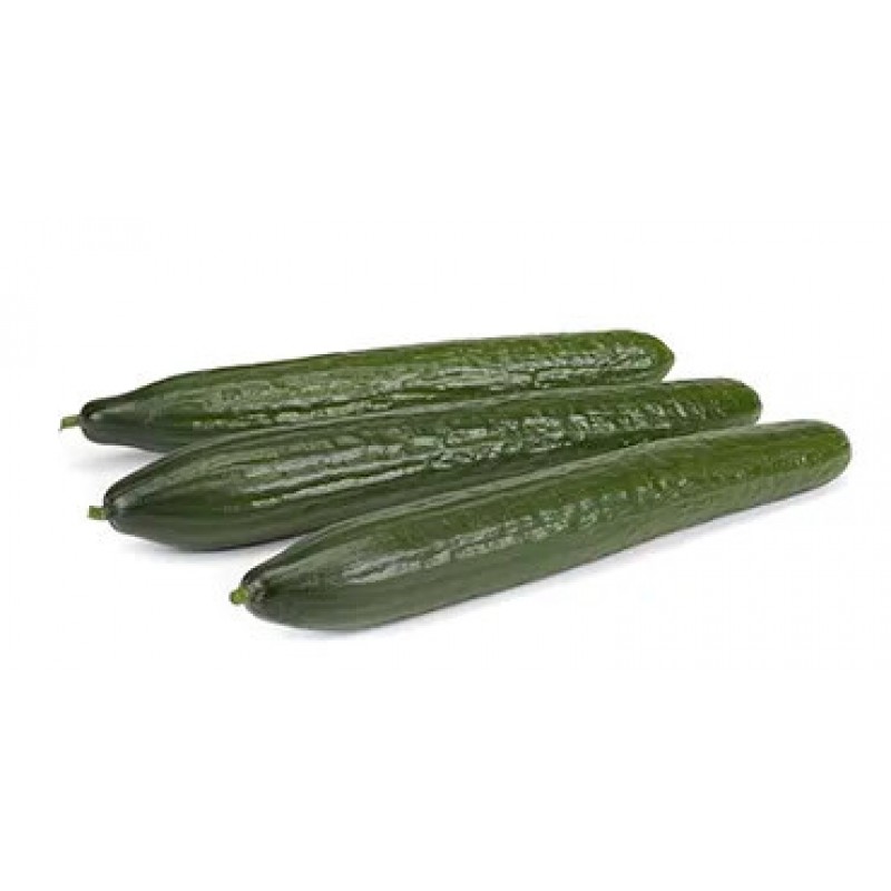 Σπόροι Αγγούρι Lavdas RZ F1 500σπ.