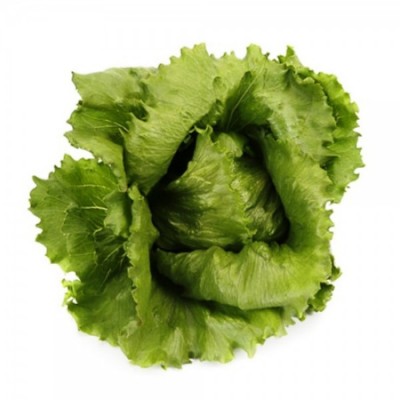 Σπόροι ICEBERG SIGNAS RZ 