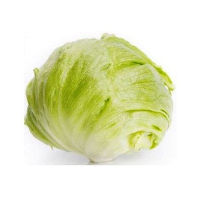 Σπόροι Iceberg Asmara 5000sd