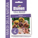 Σπόροι VIOLA ROCOCO , πανσές διάφορα χρώματα 1τμχ