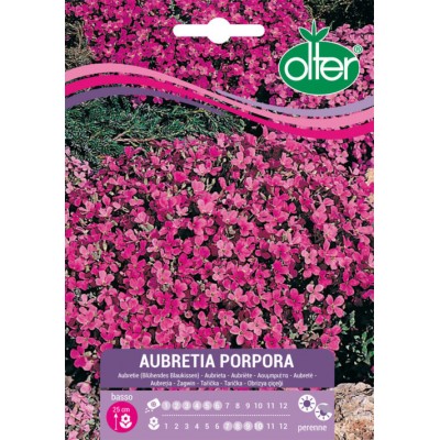 ΣΠΟΡΟΙ AUBRETIA PROPORA 1τμχ