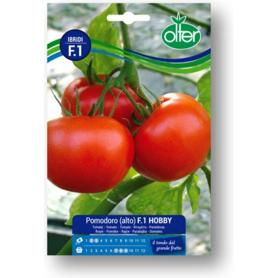 Σπόροι Τομάτας Hobby 