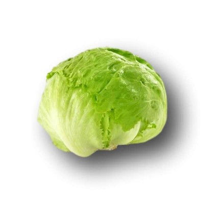 Σπόροι Iceberg Brisamar 5000sd