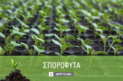 κηπευτικά